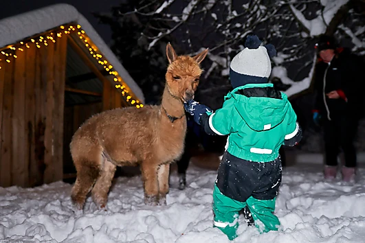 Mini zoo slēgts ziemas sezonā